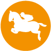 horse-jumping